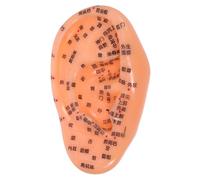 HONITANO Realistic Ear Acupuncture Model Artificial Ear Reflexology Zone for Teaching Massage Practice Hand Eye Learning Tool for Chinese Nursing Training