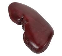 HONITANO Realistic Kidney Prop for Halloween Pranks and Cosplay Lifelike Organ Decoration with Textured Surface Material Spooky Party for Horror Events and Dollhouse Accessories