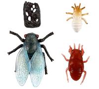 HONITANO Simulation Cicada Life Cycle Figurines for Learning Educational Plastic Insect Models with Fine Detail Stages for Science Study and Party Favors