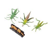 HONITANO Simulation Growth Cycle Model Figurine for Early Education Plastic Kit for Biology Learning and Home Decoration