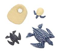 HONITANO Simulation Turtle Growth Cycle Model Figurines for Educational Biology Learning Cognitive Development and Home Classroom Display