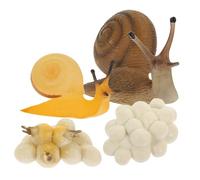 HONITANO Snail Growth Cycle Models Educational Cognitive for Realistic Simulated Snail Creative Teaching Kit for Imaginative Learning and Home Decor