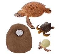 HONITANO Turtle Growth Cycle Model for Early Learning Educational Realistic Plastic Animal Evolution Figurines Natural Science Cognitive Plaything