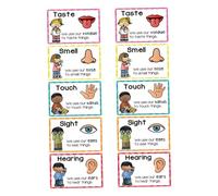 HONMEET 2 Sets Flash Cards for Early Learning Cognitive Development Sensory Education Posters Engaging for Home Daycare and Preschool Settings
