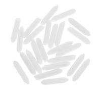 HONMEET 20pcs Refillable Paint Pen Nibs Polyester Fiber Replacement Tips for Permanent Marker Pens, 4.5mm Fine Tip, Easy to Use and Resistant to Wear, for Drawing on The Go