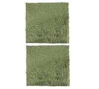 HONMEET 2pcs Reptile Moss Carpet Natural-looking Green Cotton Bedding