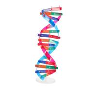 HONMEET Dna Model Educational Science for Self-assemble Double Helix Biology Teaching Aid Interactive Science Kit for Learning Genetics and Molecular Structure