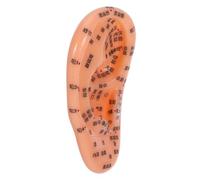 HONMEET Ear Acupuncture Model 17cm Auricular Simulation Tool for Reflexology Massage and Nursing Training Medical Teaching Display
