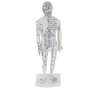 HONMEET Human Acupoint Model Male Full Body Pressure Point and Meridian Display Acupuncture Teaching Tool for Chinese Medicine Education Precise Meridian Visualization for Students and