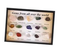 HONMEET Natural Stone Specimen and Irregular Stone Decor 15pcs Set Polished Minerals for Learning and Collection Geological Teaching Materials for Home Display