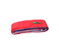 HONMEET Streamer Kite Tail 30m Polyester Ribbon for Large Stunt Kites | Red with Lanyard, DIY Hanging and Sky Writing Use, Lightweight Eye-catching Accessory Random Color