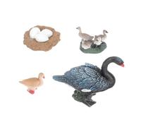 HONMEET Swan Life Cycle Educational for Realistic Plastic Goose Growth Models Miniature Ocean Animal Figurines Biology Learning Plaything for Boys