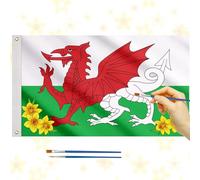 HONMOK 5 x 3Ft Welsh Flag Wales Dragon Flag St David's Day Decorations St Davids Day Crafts for Kids Cymru Welsh National Flag Party Decor for World Cup Nations Rugby Football Sporting Events