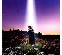 HONNE – Let's Just Say the World Ended a Week From Now, What Would You Do? – Vinyl