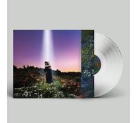 HONNE Let's Just Say the World Ended a W rom Now, What W (Vinyl) (US IMPORT)