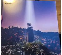 HONNE - LET’S JUST SAY THE WORLD ENDED A WEEK FROM NOW, WHAT WOULD YOU DO? [VINYL]