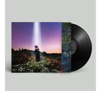 HONNE Let's Just Say the World Ended a Week from Now, What Would You Do (Vinyl)