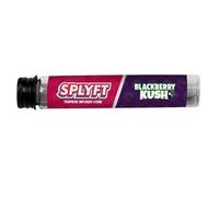 Honney Store SPLYFT Flavoured Cones | Premium Infused Cones in Airtight Glass Tubes - Blackberry Kush