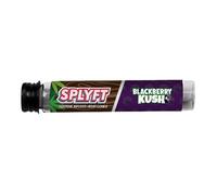 Honney Store SPLYFT Flavoured Cones | Slow-Burning | Premium Natural Leaf Infused Cones in Airtight Glass Tubes - Blackberry Kush (1)