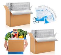 Honoson 2 Pack Thermal Insulated Shipping Boxes with Aluminum Foil Liner and Reusable Ice Pack for Shipping Big Cold Pack Cooler Boxes for Mailing Moving Hot Frozen Food, 12'' x 5.5'' x 7.5''