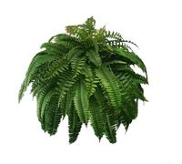 Honseadek Artificial Boston-Fern Small Green Grass-Plant Life-Like Decoration For Home Garden Party Wedding Indoor Outdoor Landscaping(39 head)