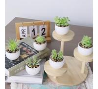 Honseadek Set of 6 Artificial Succulent Plants in Pots for Home and Office Decor, Fake Flowers of Fleshy Plants with Realistic Appearance, No Maintenance