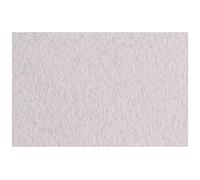 Honsell 21297127 - Fabriano Tiziano Pastel Paper Lama DIN A4, 50 Sheets, 160 g/m², Highly Rough, Acid-Free and Age-Resistant, Grippy, Rough Surface