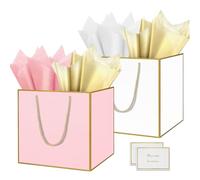 HONTIUS 11.8'' Square Large Gift Bag, Extra Large Gift Bag Bags for Presents Big Paper Bag with Tissue Paper Cards, 30cm Wedding Birthday Party Present Bridesmaid Gift Gifts Bag for Women 2PCS B