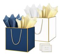 HONTIUS 11.8'' Square Large Gift Bag, Extra Large Gift Bag Bags for Presents Big Paper Bag with Tissue Paper Cards, 30cm Wedding Birthday Party Present Bridesmaid Gift Gifts Bag for Women 2PCS E