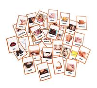 HONTOUSIP 34 Pcs Body Parts Cards- Learning Picture & Word Card Flashcards(English word learning card & pocket size flash card for children and Preschool),4.33x3.15in