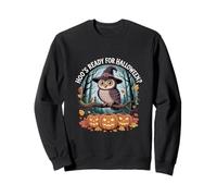 Hoo’s Ready For Halloween Owl With Pumpkins Witch Hat Sweatshirt