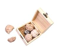 HOODANCOS 1 Box Gemstone Dig Kit for Adults Educational Geology Mining with Unique Crystal Specimens Safe Materials Fun Excavation and Gem Collection Activity Birthday
