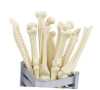 HOODANCOS 10pcs Novelty Bone Design Ballpoint Pens Black Ink Office Stationery Pens Unique Bone Shape for Doctor Nurse Students Random Styles