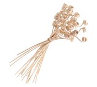 HOODANCOS 20pcs Aroma Diffuser Rods Fragrance Sticks for Essential Oil Diffusers Natural Reed Branches for Home Office Bathroom Aromatherapy Accessories to Release Relaxing Scent