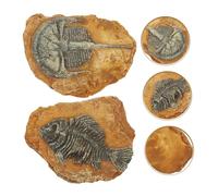 HOODANCOS 2Pcs DIY Lifelike Resin Fossil Terrarium Decors for Reptile Boxes Realistic Crawling Reptile and Lizard Habitat Ornaments with Natural Texture Odorless and Stable Resin Design for