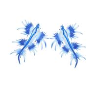 HOODANCOS 2pcs Soft Plastic Sea Slug Figures Animal Ornaments Mini Ocean Creature Models for Desktop Decoration Educational Simulation