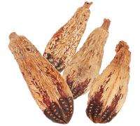 HOODANCOS 4pcs Natural Fruit Bird Chew for Parrots Macaws Foraging Shredding Enrichment to Reduce Boredom and Destructive Behavior Healthy Natural Material Pet Companion