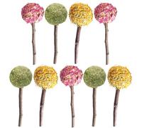 HOODANCOS 9pcs Small Animal Chew for Rabbits Guinea Pigs Hamsters - Natural Timothy Hay Lollipops Teeth Grinding Sticks with Rose, Calendula, and Pasture Grass Flavors for Pet Dental Care