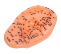 HOODANCOS Acupressure Training Model for Education Purposes Ear Model Reflexology Made of PVC with Display of Acupuncture Points and Massage Practice