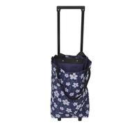 HOODANCOS Climbing Shopping Cart Foldable with Plastic and Oxford Cloth, Small Hand-pulled Cart with Wheels Suitable for Camping and Apartment Use