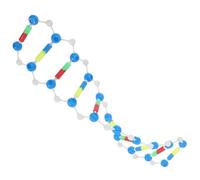HOODANCOS Dna Double Helix Model Science Educational Instrument for Biology Teaching Assembly Build Kit for Genetics Study Interactive Molecular Structure Aid for Students and Classrooms