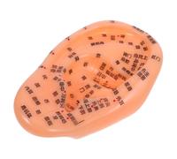 HOODANCOS Ear Model Reflexology Human Ear Simulation for Acupuncture Training with Comprehensive Guide Enhances Massage Skills and Traditional Chinese Medicine Practice