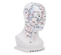 HOODANCOS Human Head Acupuncture Model Medical Acupoint Teaching Tool Ergonomic Massage Display for Facial Neck Meridian Learning and Therapy