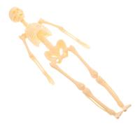 HOODANCOS Human Skeleton Model Educational Anatomy Figure DIY Assembly Scientific Teaching Tool for Students and Smooth Surface Safe Skeleton Figure for Learning and Decoration