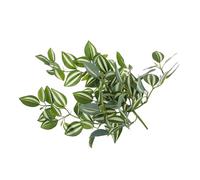HOODANCOS Lifelike Simulated Rattan Wall Hanging Decor for Lightweight Plastic Rattan Pendant Natural Green Artificial Plant Decoration Low-maintenance Home Accent