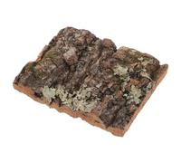 HOODANCOS Natural Cork Bark 10x8cm for Reptile Terrarium Background, Fish Tank Decorations, Climbing Bark Habitat Décor for Leopard Gecko and Lizard Tanks