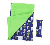 HOODANCOS Reptile with Pillow and Blanket Soft Cozy Habitat for Bearded Dragon Gecko Rat and Pets Expandable Little Animal Bed in Blue and Green