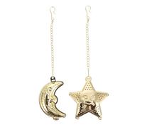 HOODANCOS Stainless Steel Tea Infusers Reusable Tea Leaf Strainers with Star and Moon Shapes 2pcs for Brewing Spices, Featuring Hook and Chain Design, for Home and Office Use