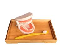 HOODANCOS Teeth Brushing Teaching Preschool Cognitive Model with Bamboo Tray Fine Motor Skills Development Educational Tool for Early Learning