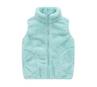 Hooded Boys Plain Sleeveless Wash Cloth Vest for Winter and Winter with Pockets, Multicoloured Padded, lightblue, 6-7 Jahre